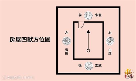 大門開在虎邊|【大門開虎邊】大門開虎邊？財運大走鐘？風水專家的。